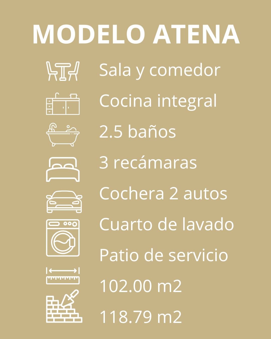 FICHA ATENA